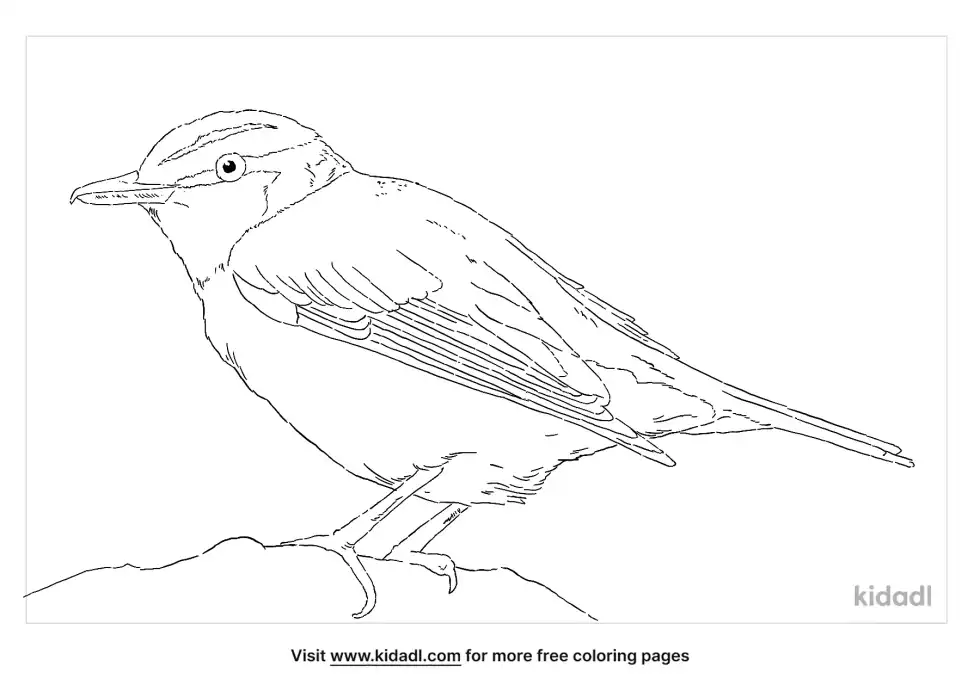 Red-Eyed Vireo Coloring Page