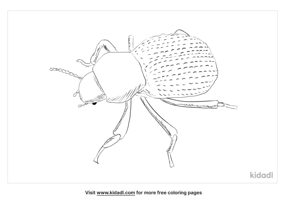 Blue Death Feigning Beetle Coloring Page