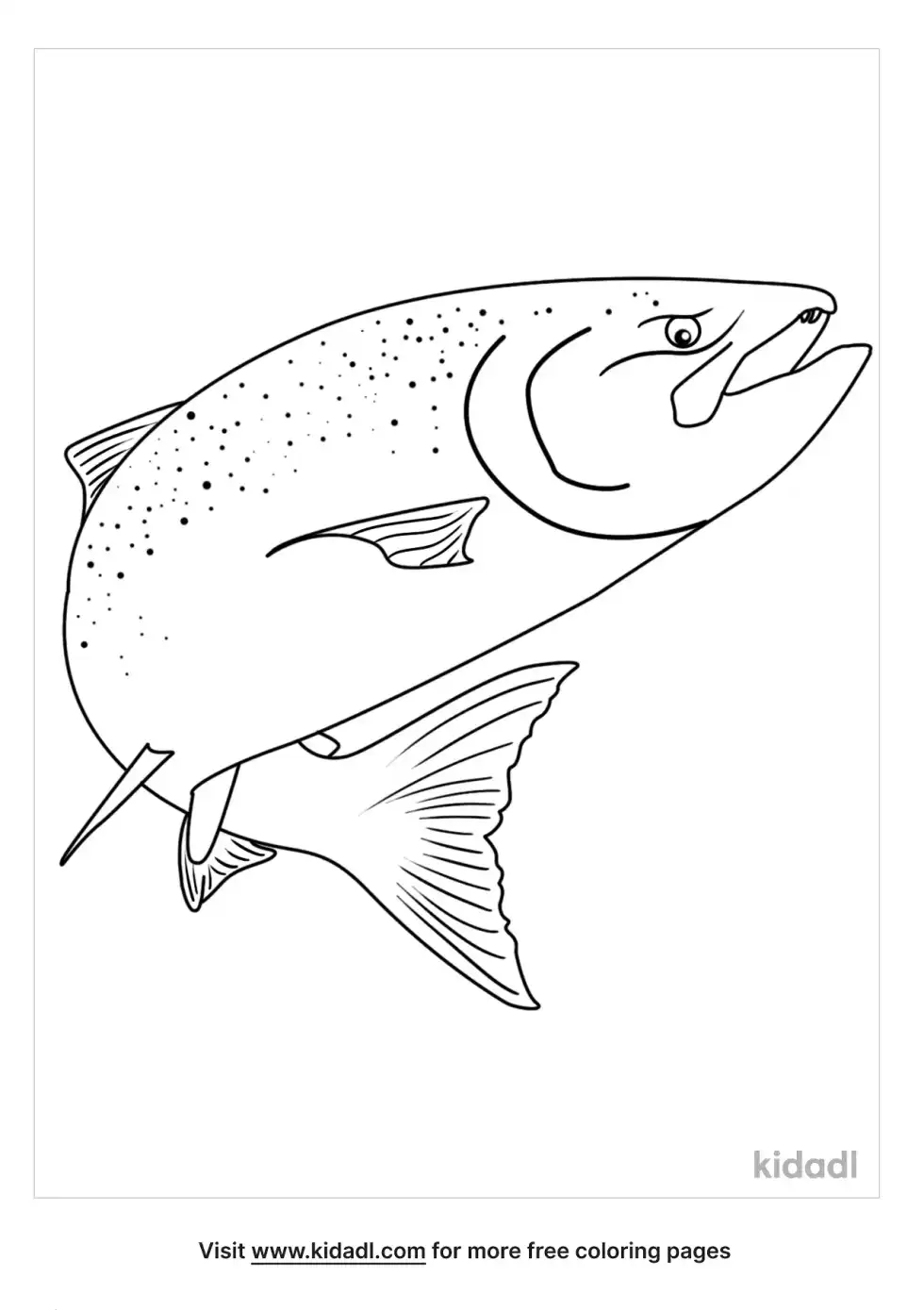 Chinook Salmon Coloring Page