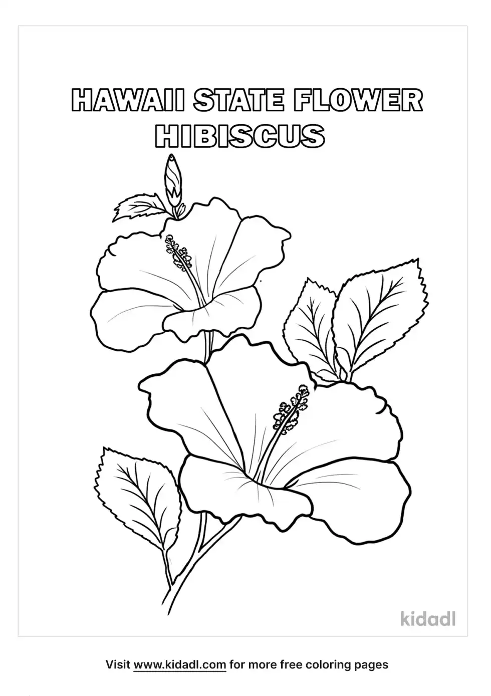 Hawaii State Flower Coloring Page
