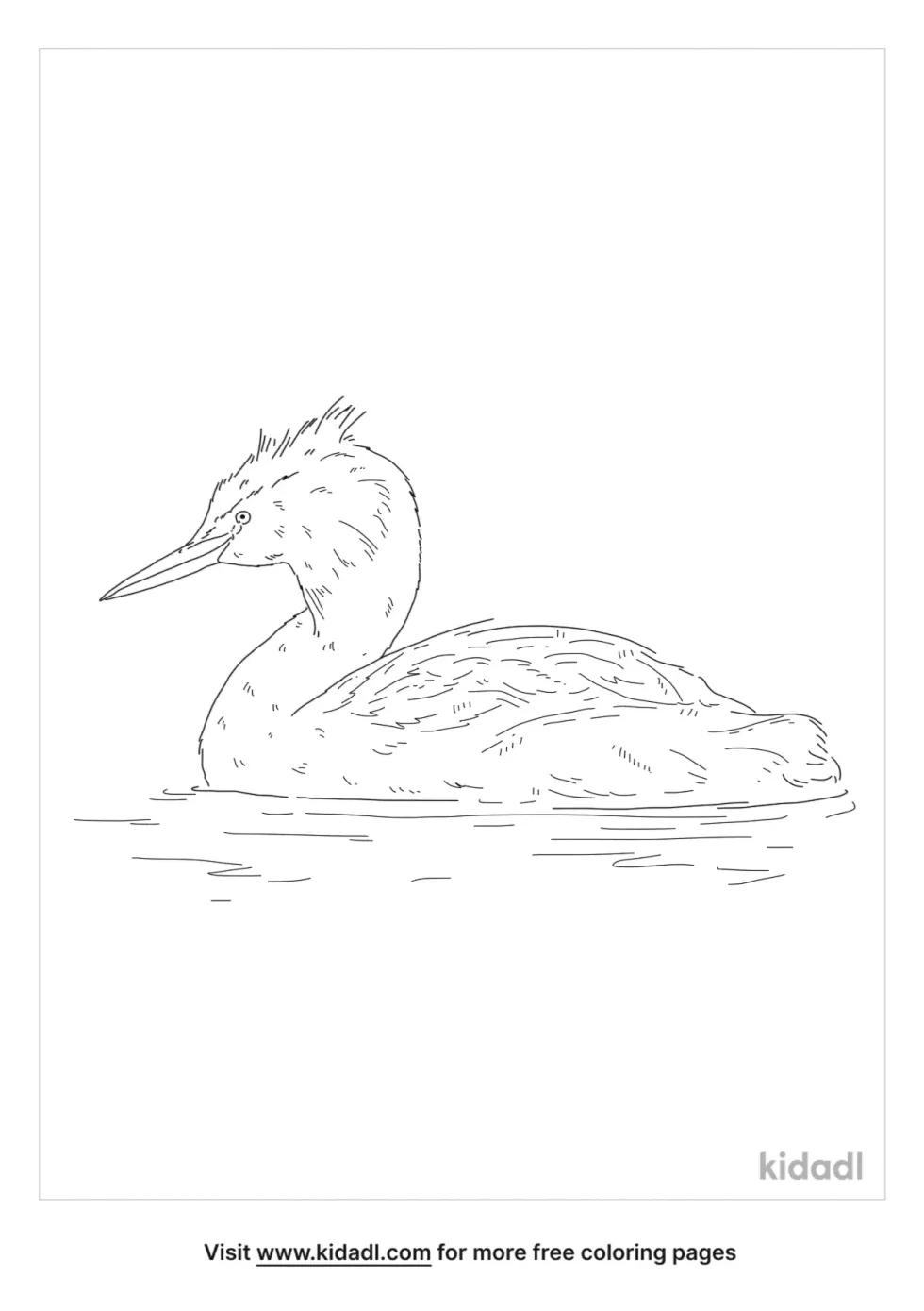 Great Crested Grebe Coloring Page