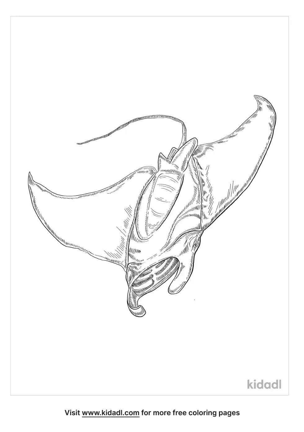 Ray Coloring Page