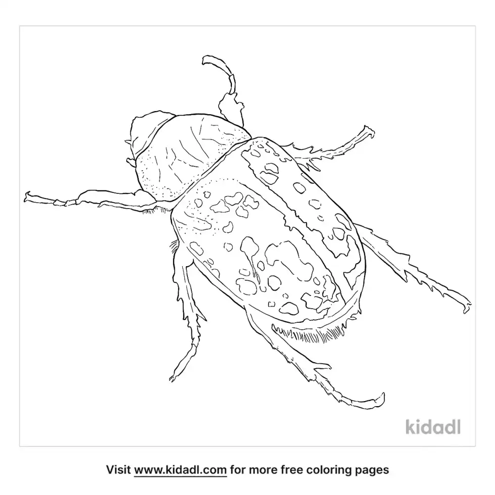 Eastern Hercules Beetle Coloring Page