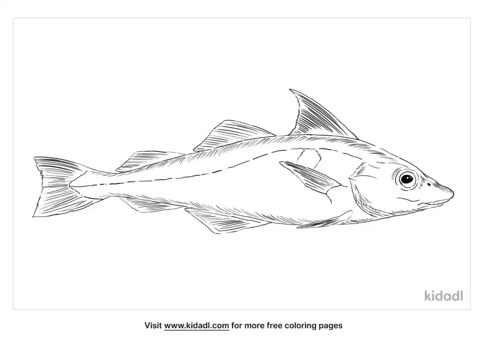 Haddock Coloring Page