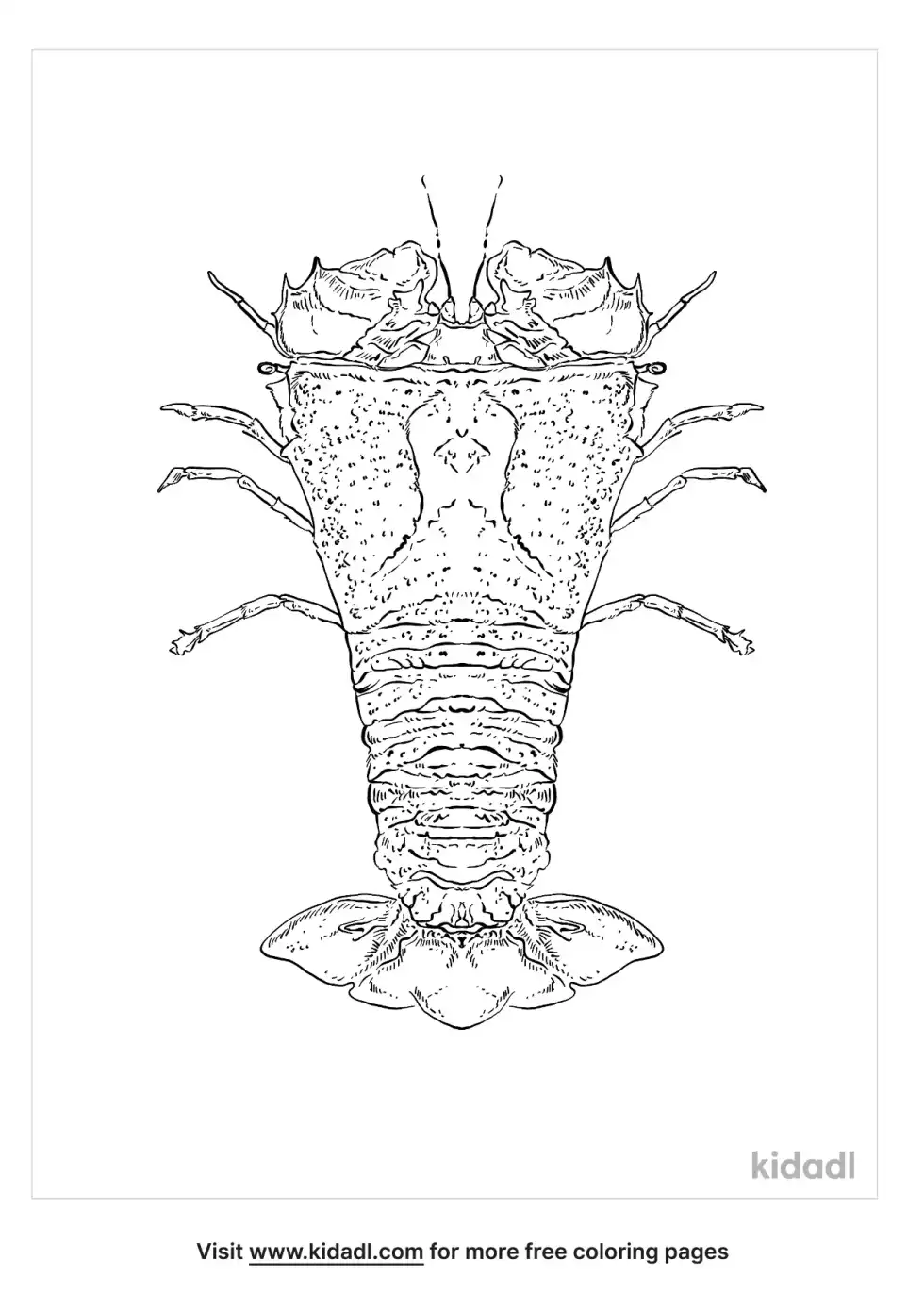 Slipper Lobster Coloring Page