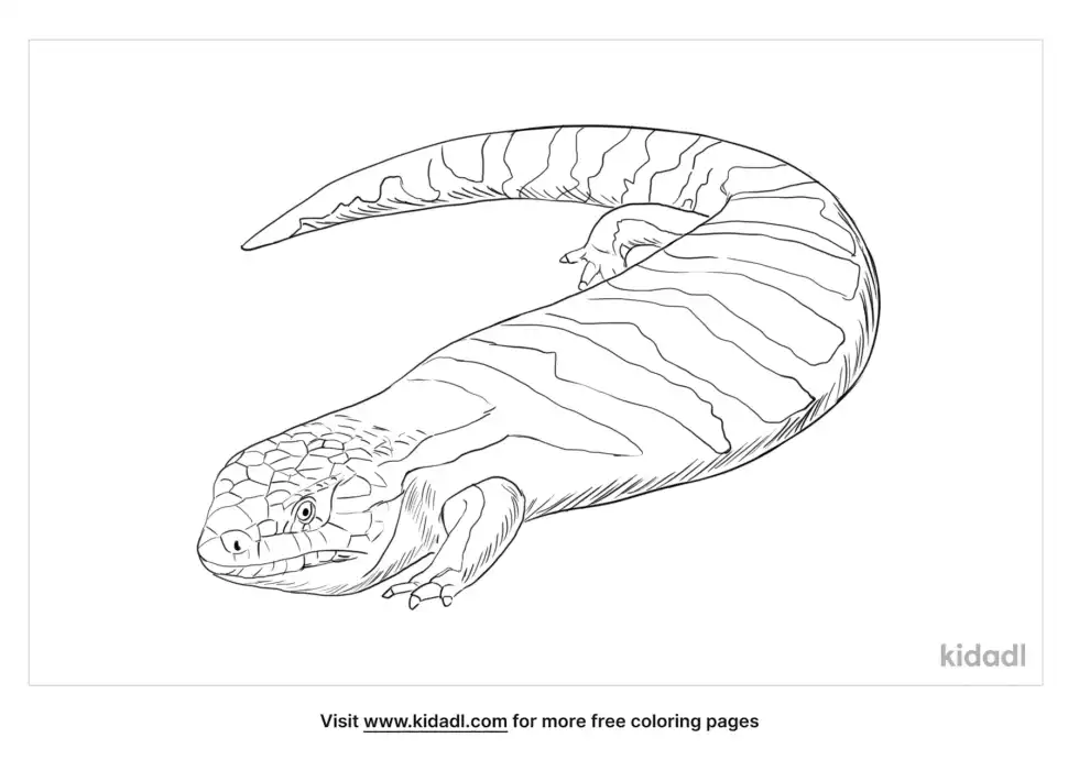 Skink Coloring Page