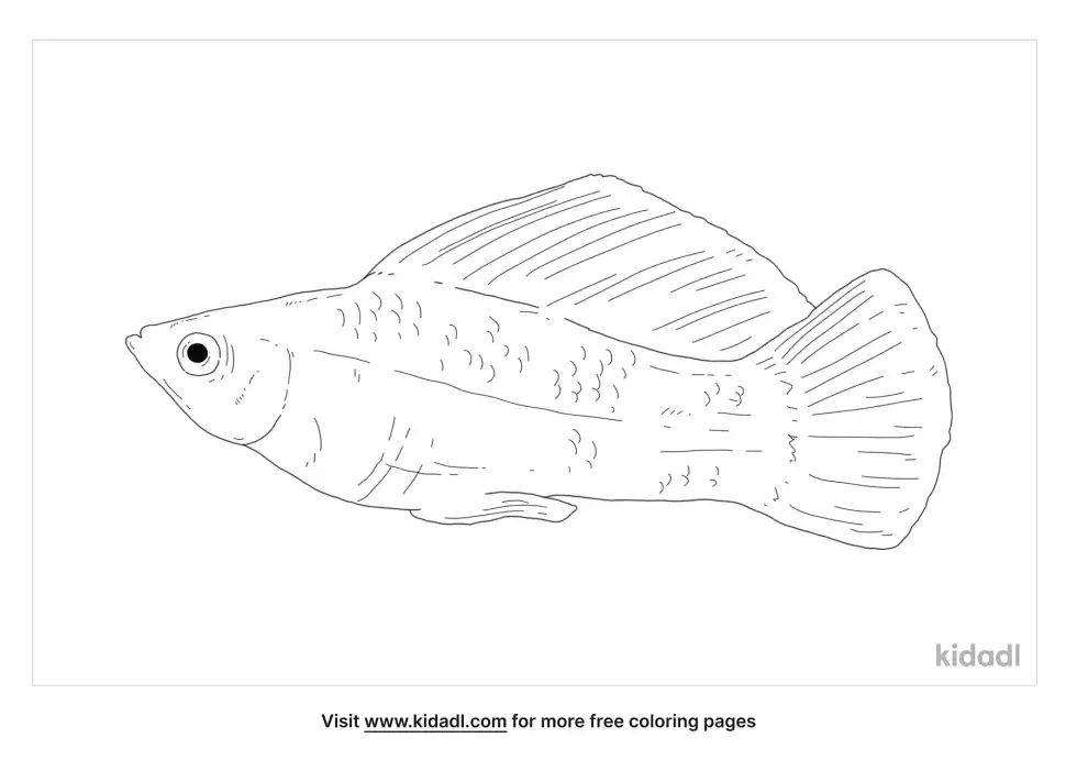 Sailfin Molly Coloring Page