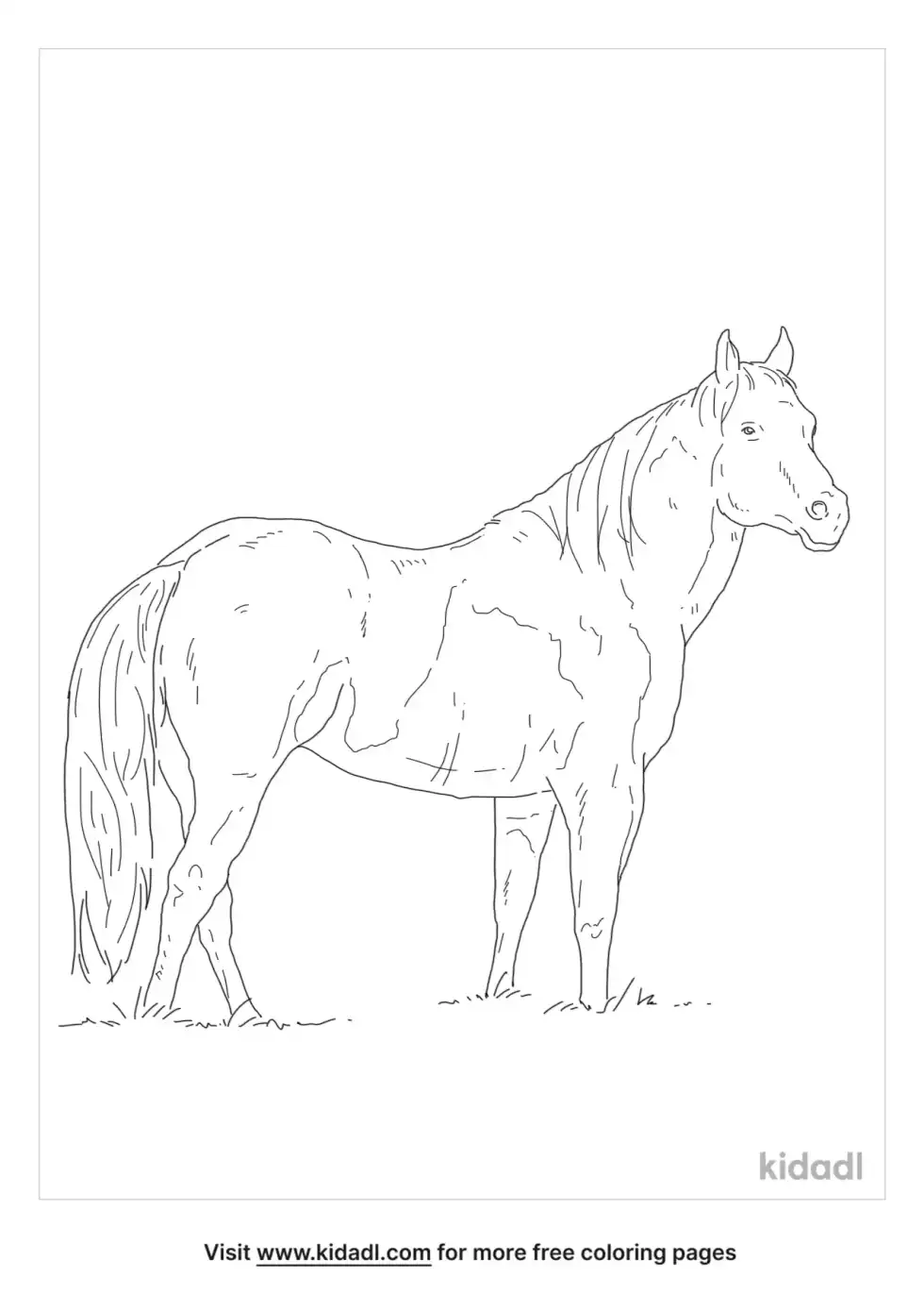 Paint Horse Coloring Page