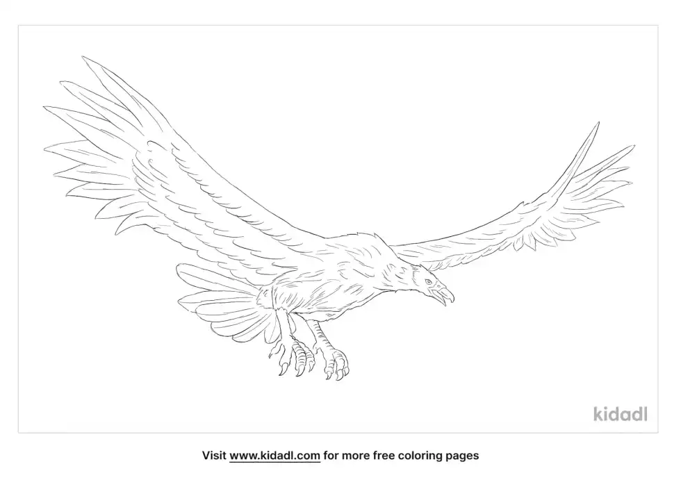Argentavis Coloring Page