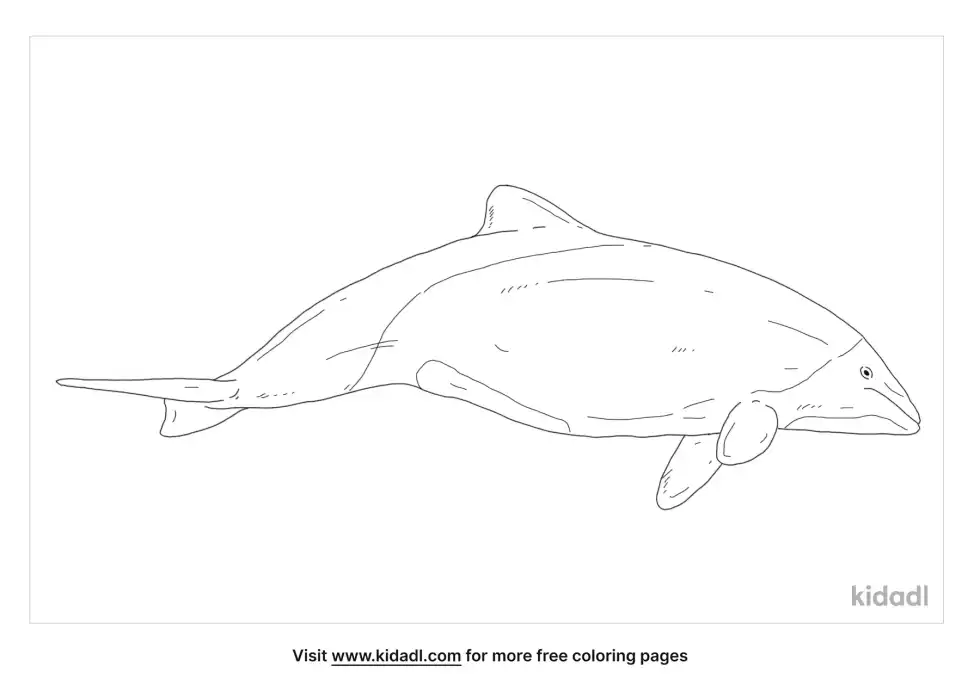 Tonina Coloring Page
