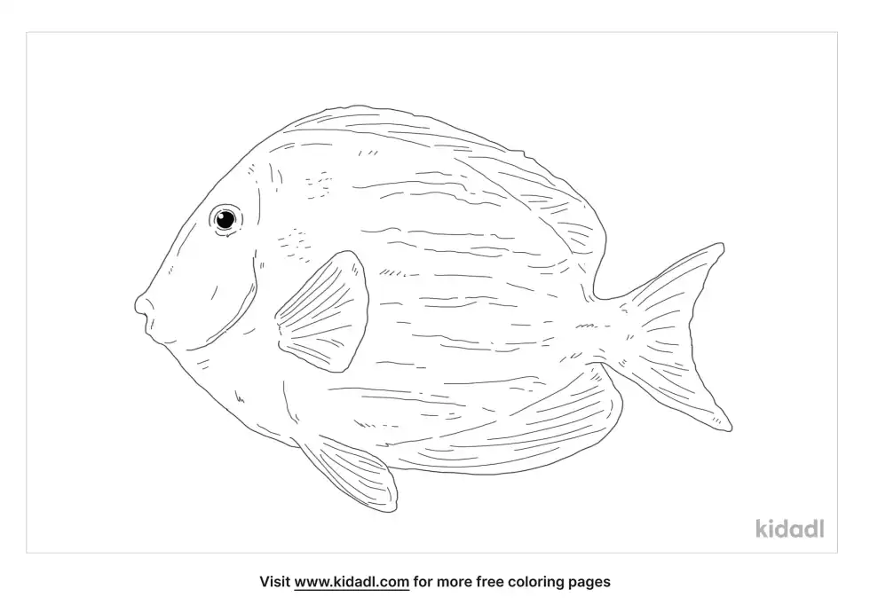 Doctor Fish Coloring Page