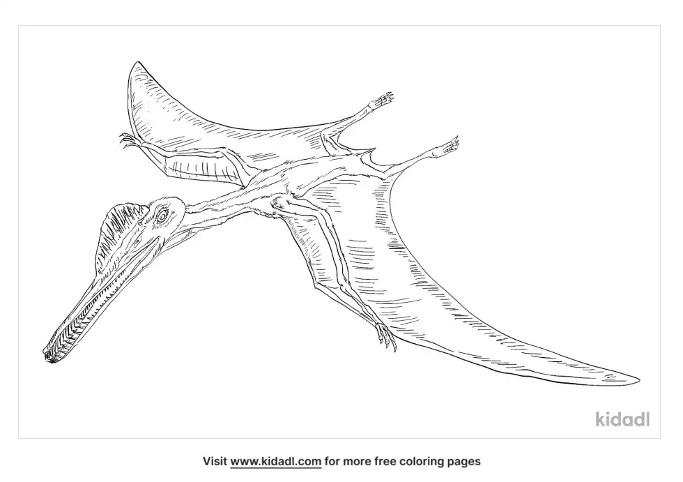 Gnathosaurus Coloring Page