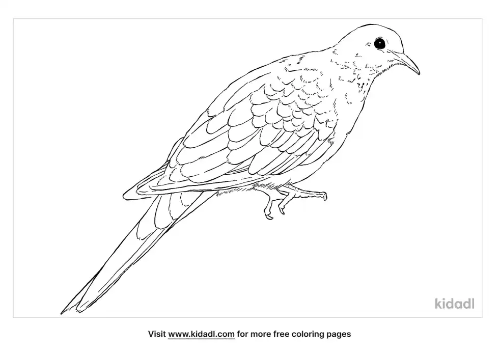 Brown Dove Coloring Page