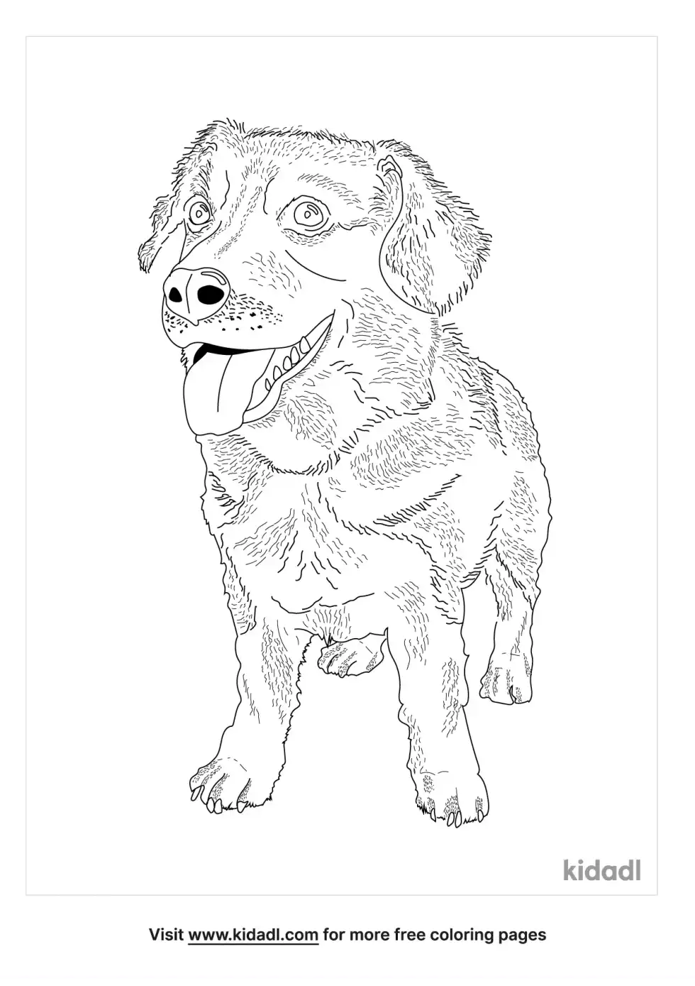 Corgi Beagle Mix Coloring Page