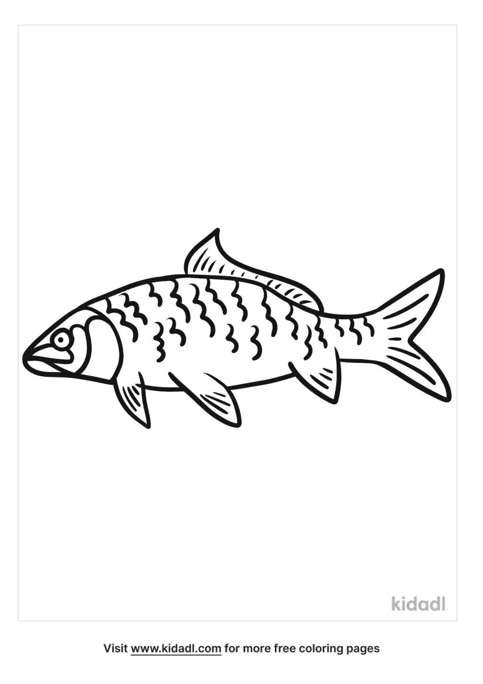 Grass Carp Fish Coloring Page