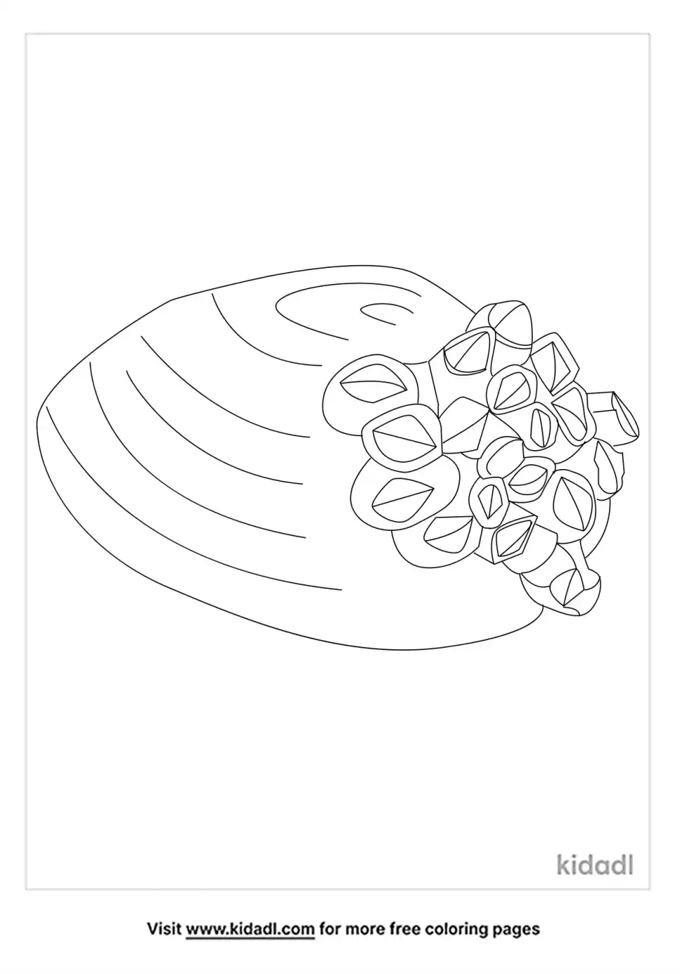 Barnacle Coloring Page