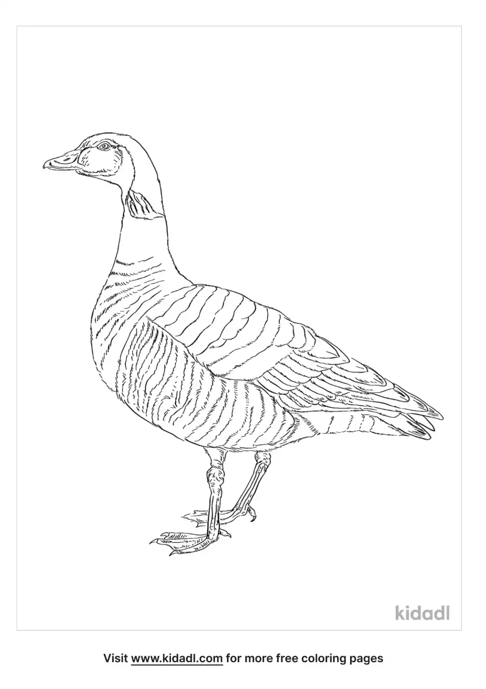 Brant Coloring Page