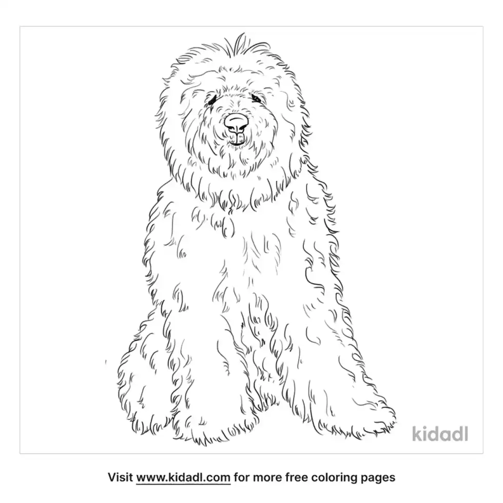 Old English Sheepdog Coloring Page