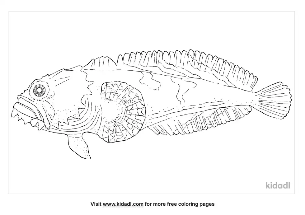 Oyster Toadfish Coloring Page