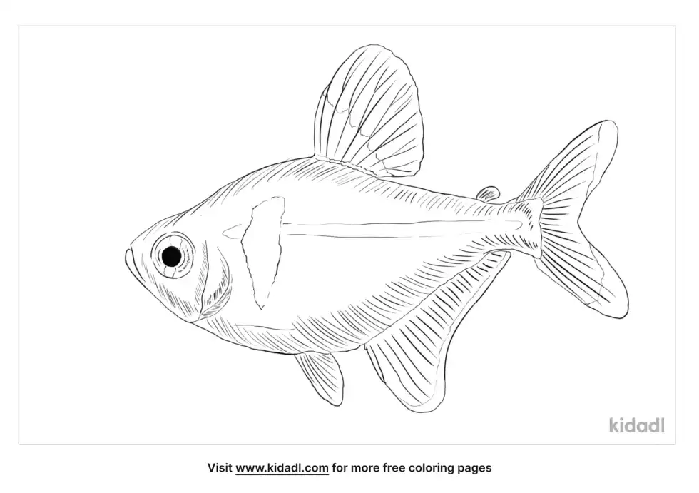 Black Phantom Tetra Coloring Page