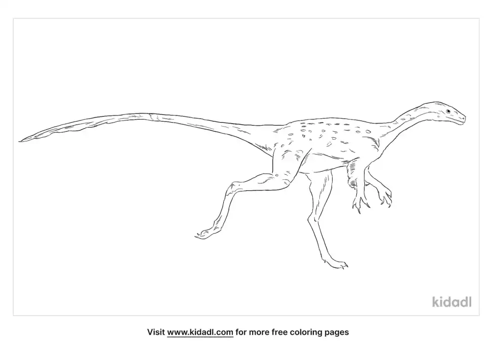 Coelosaurus Coloring Page
