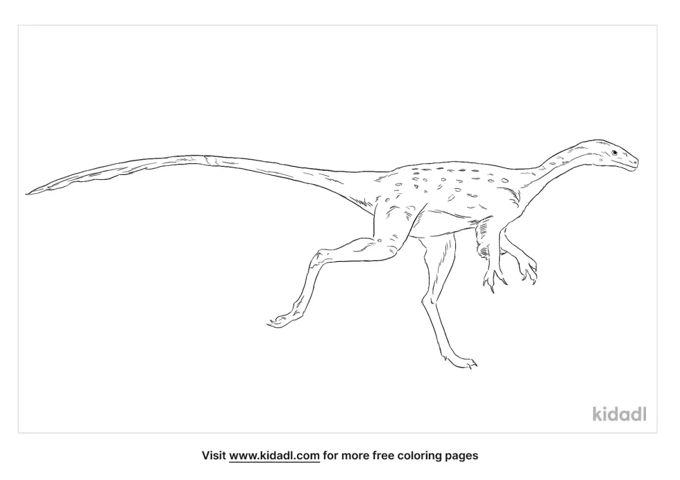 Coelosaurus