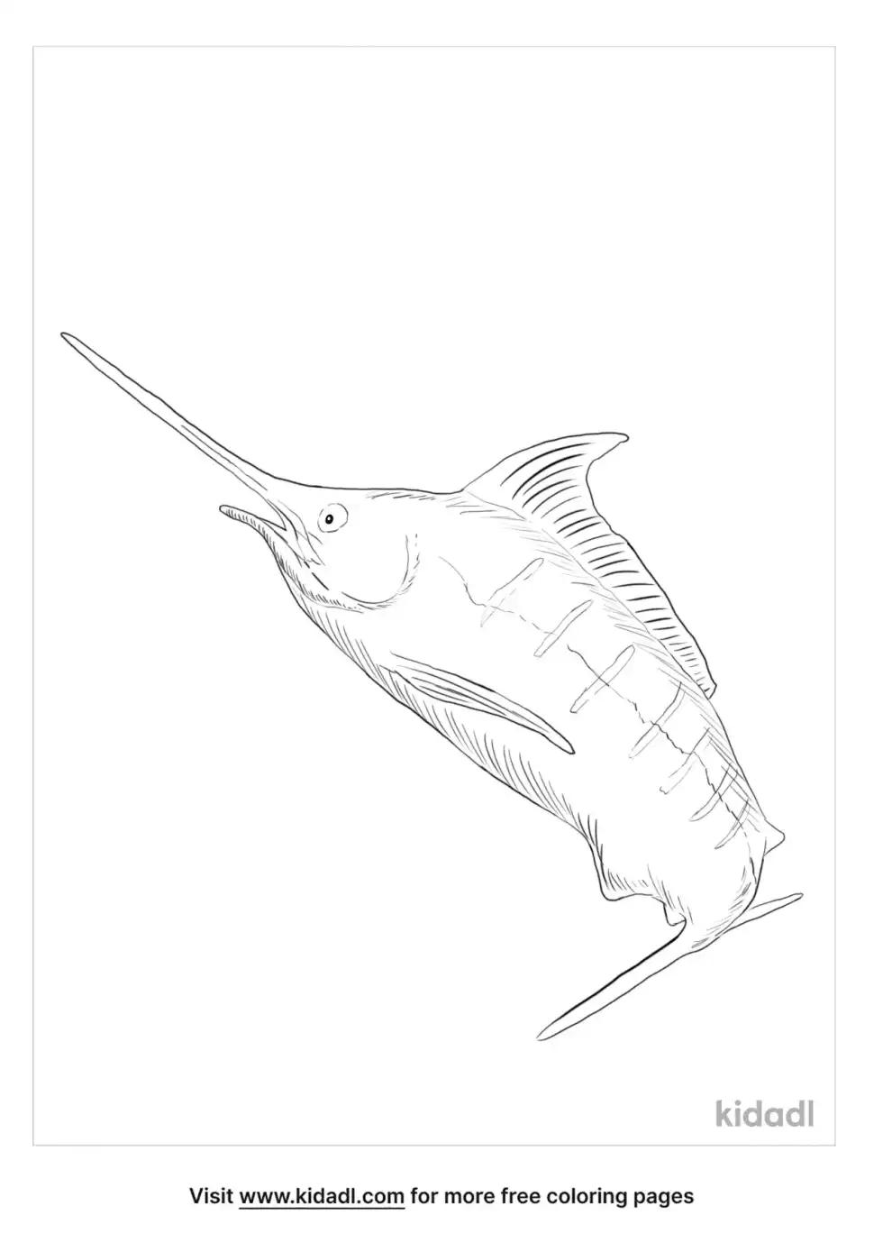Billfish Coloring Page