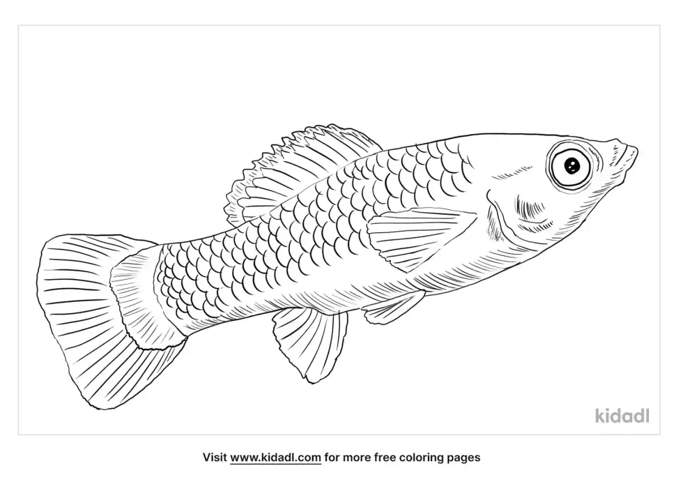 Black Molly Coloring Page