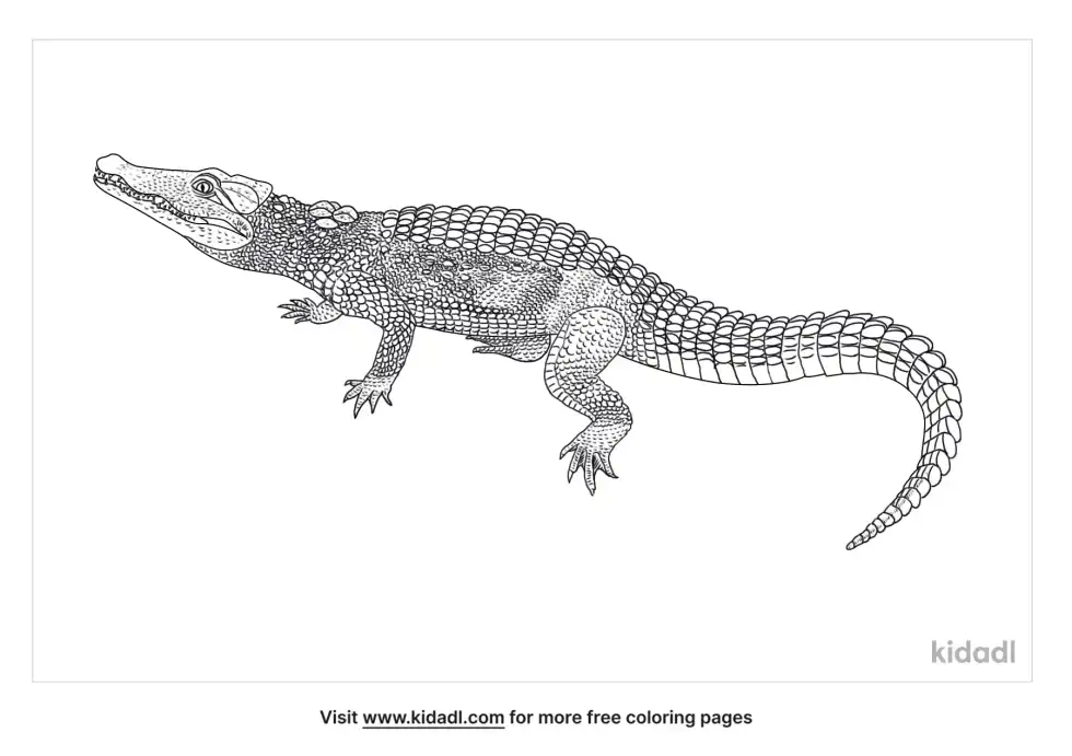 Cuban Crocodile Coloring Page