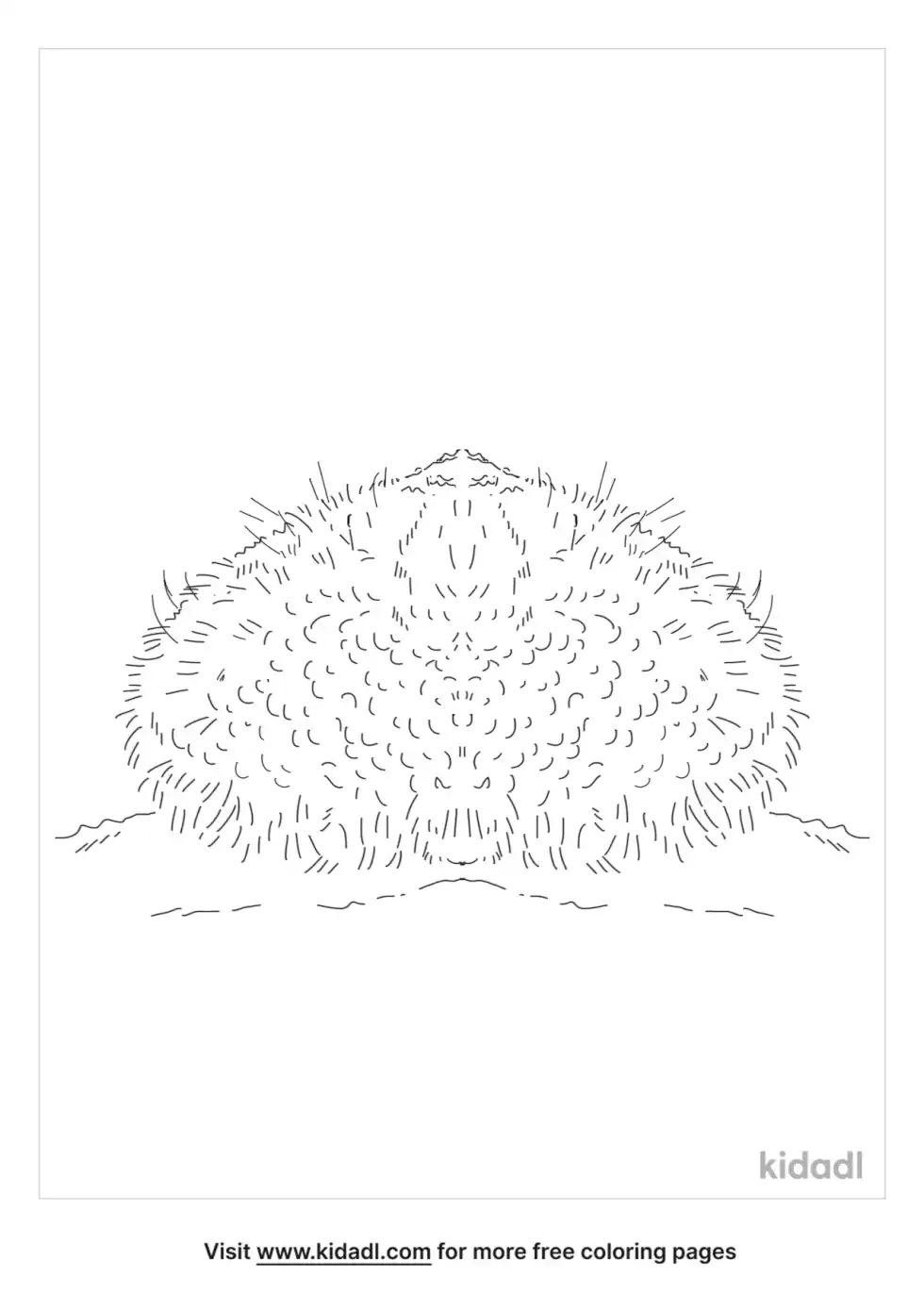 Flower Urchin Coloring Page