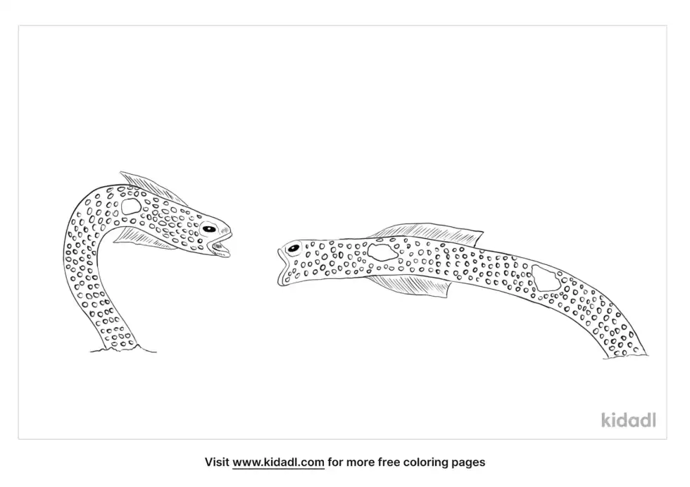 Spotted Garden Eels Coloring Page