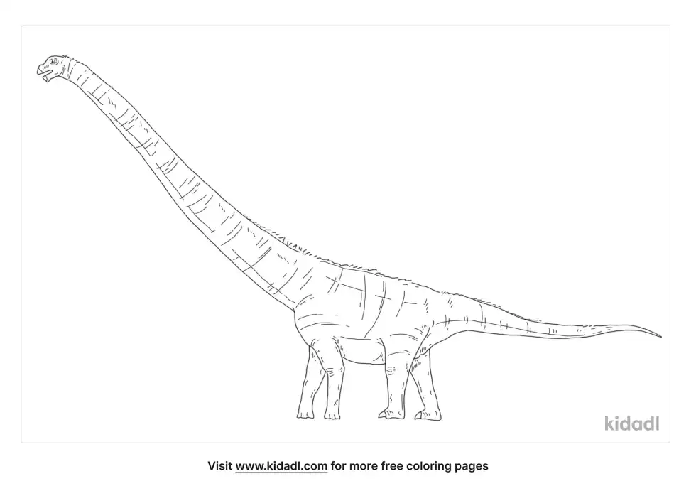 Analong Coloring Page