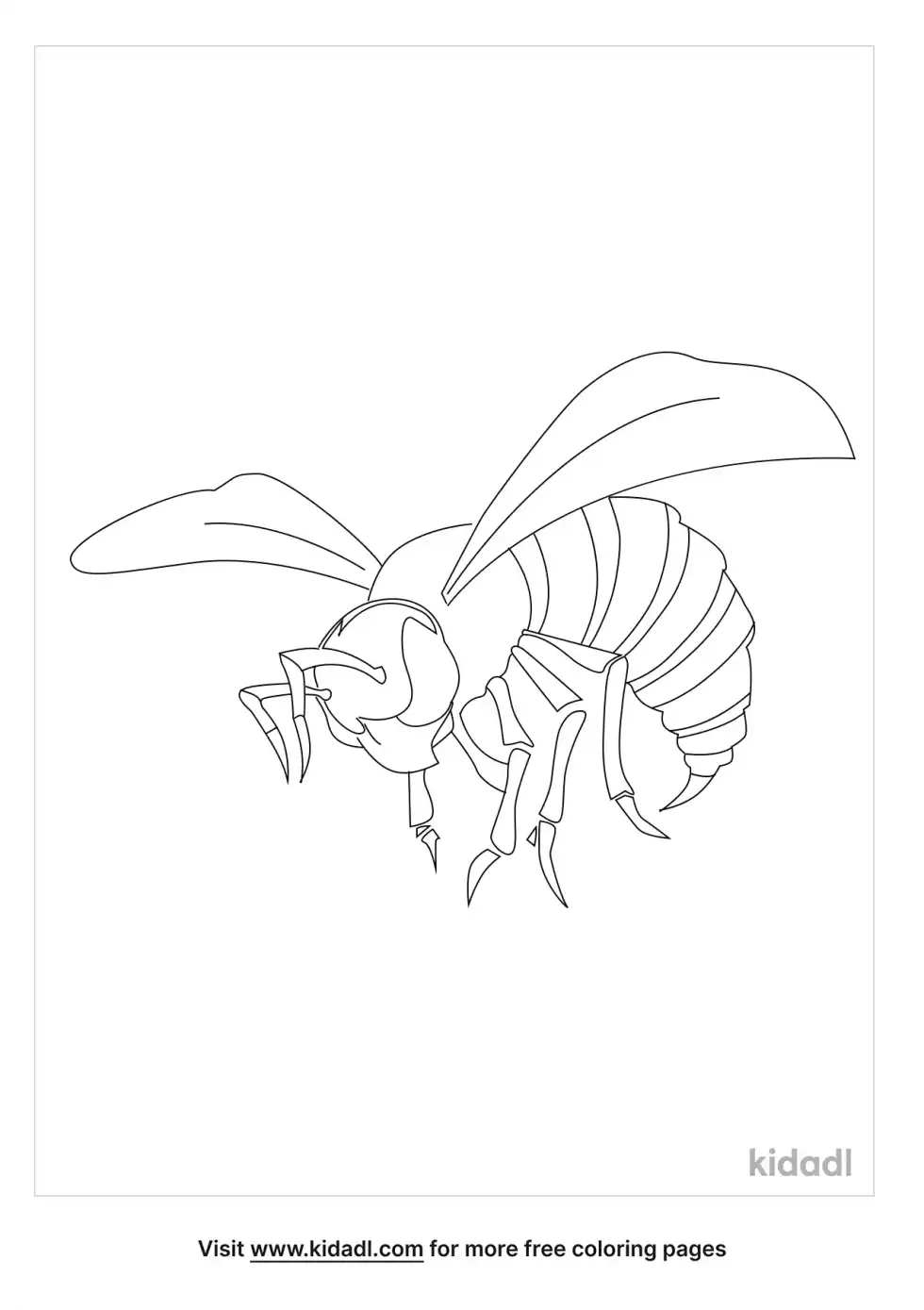 Hornet Coloring Page