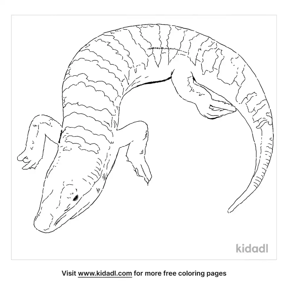 Sandfish Coloring Page