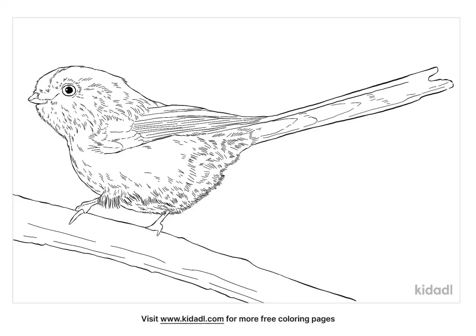 Long-Tailed Tit Coloring Page