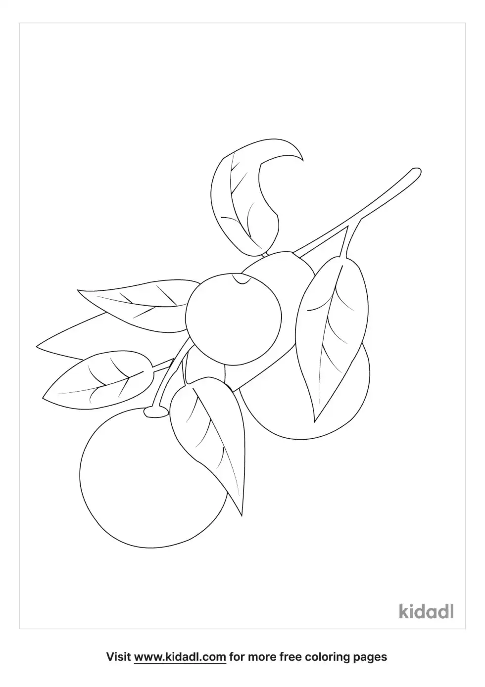 Orange With Leaf Coloring Page