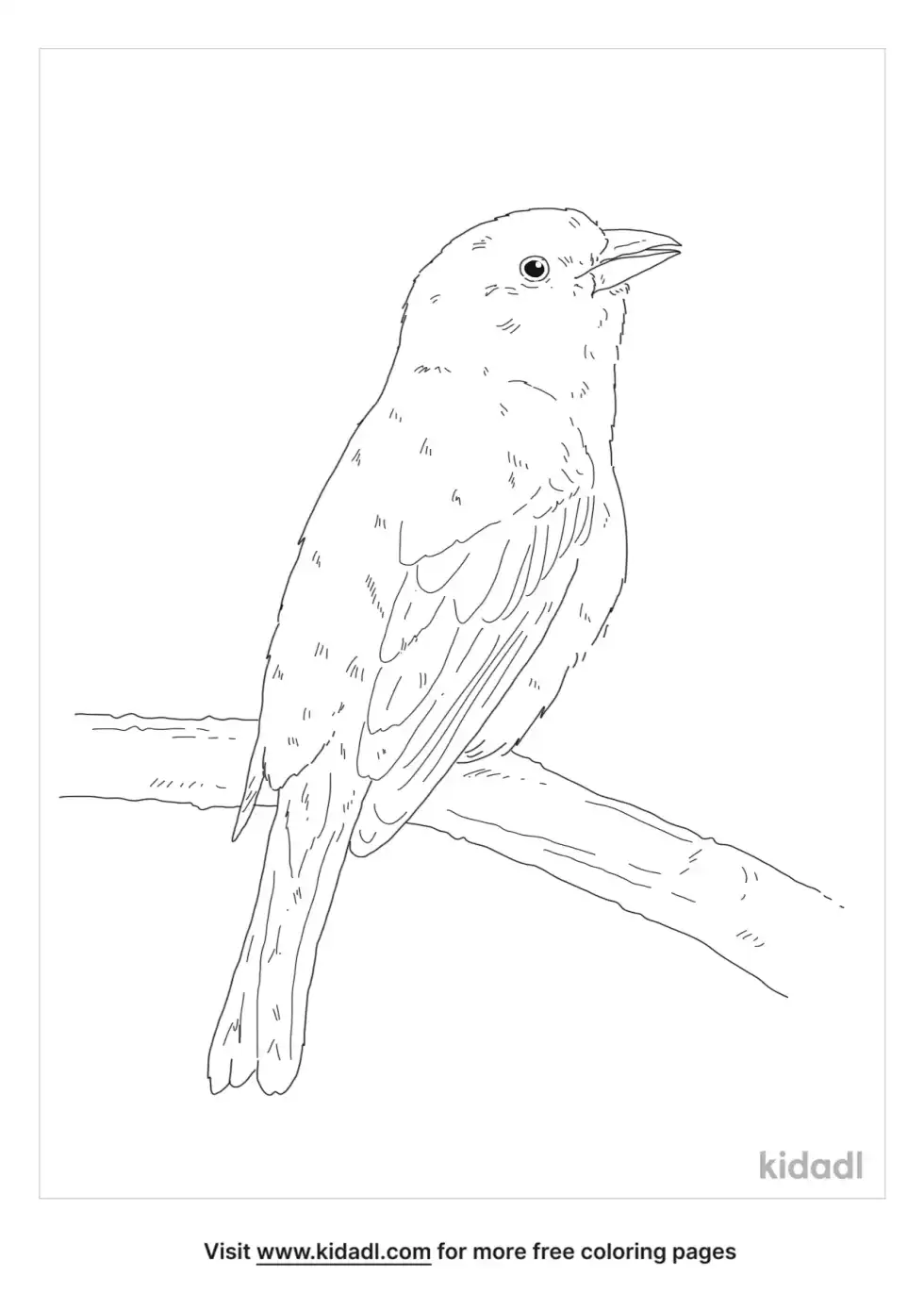 Hepatic Tanager Coloring Page