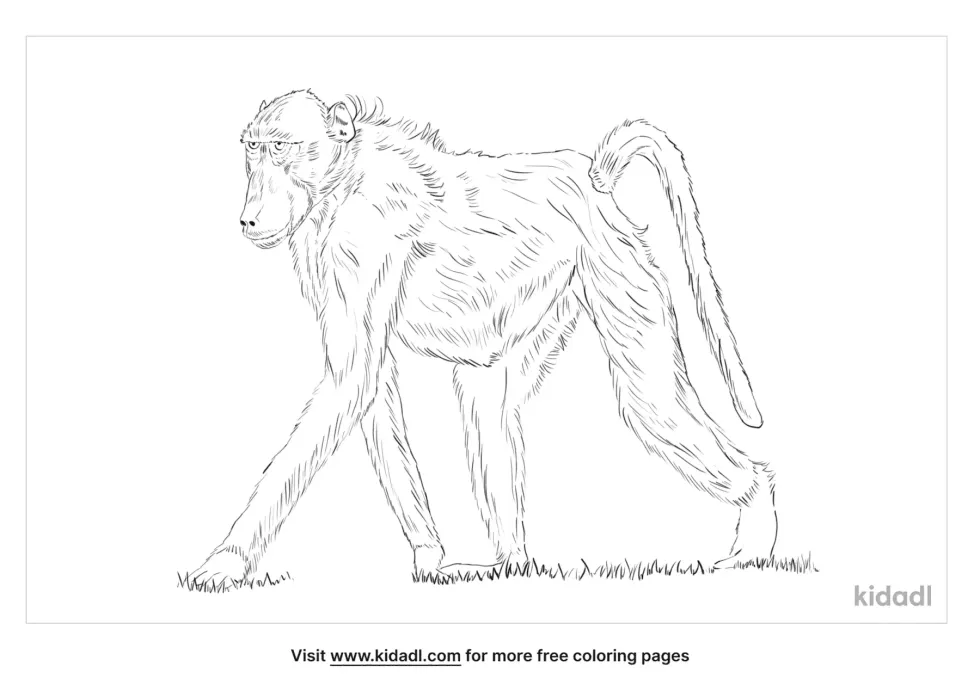 Yellow Baboon Coloring Page