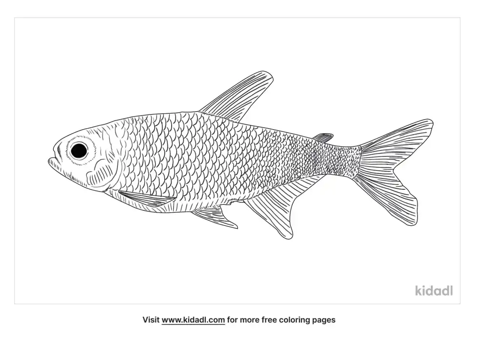 Glowlight Tetra Coloring Page