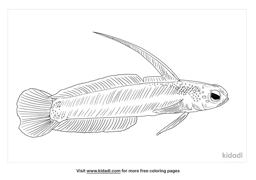 Firefish Coloring Page