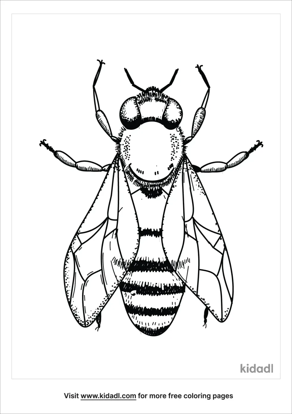 Realistic Bug Coloring Page