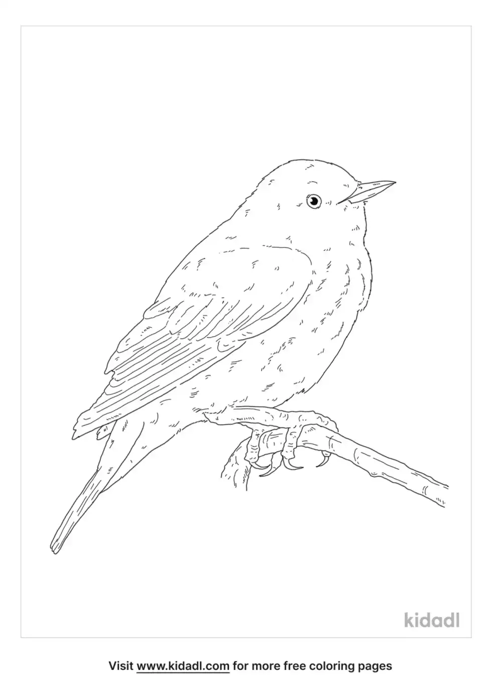 Pine Warbler Coloring Page