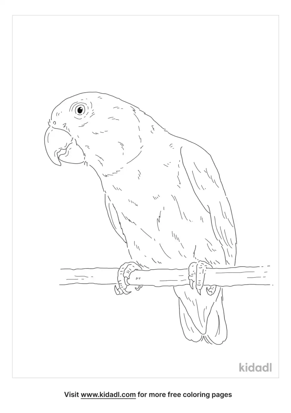 Senegal Parrot Coloring Page