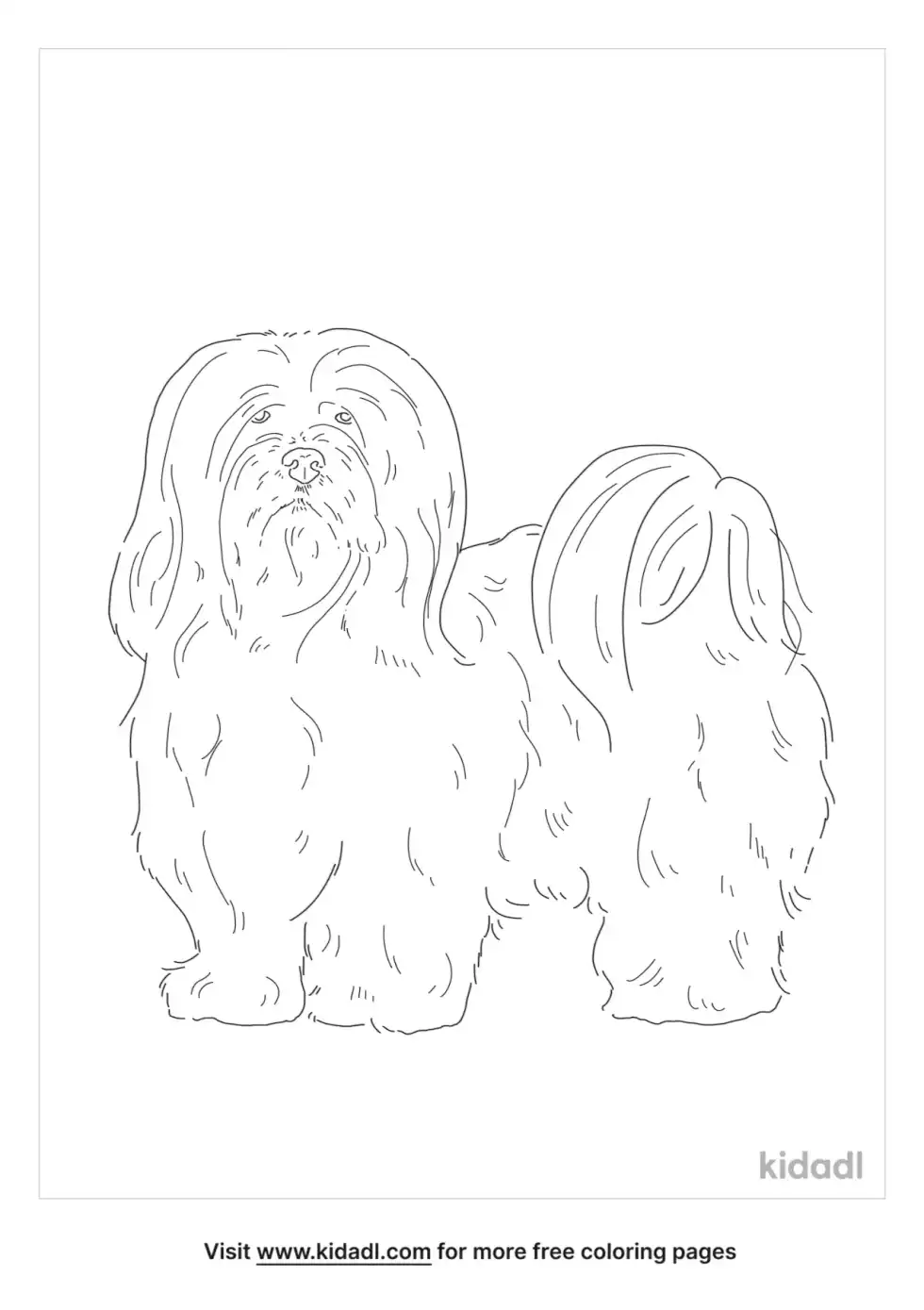 Lhasapoo Coloring Page