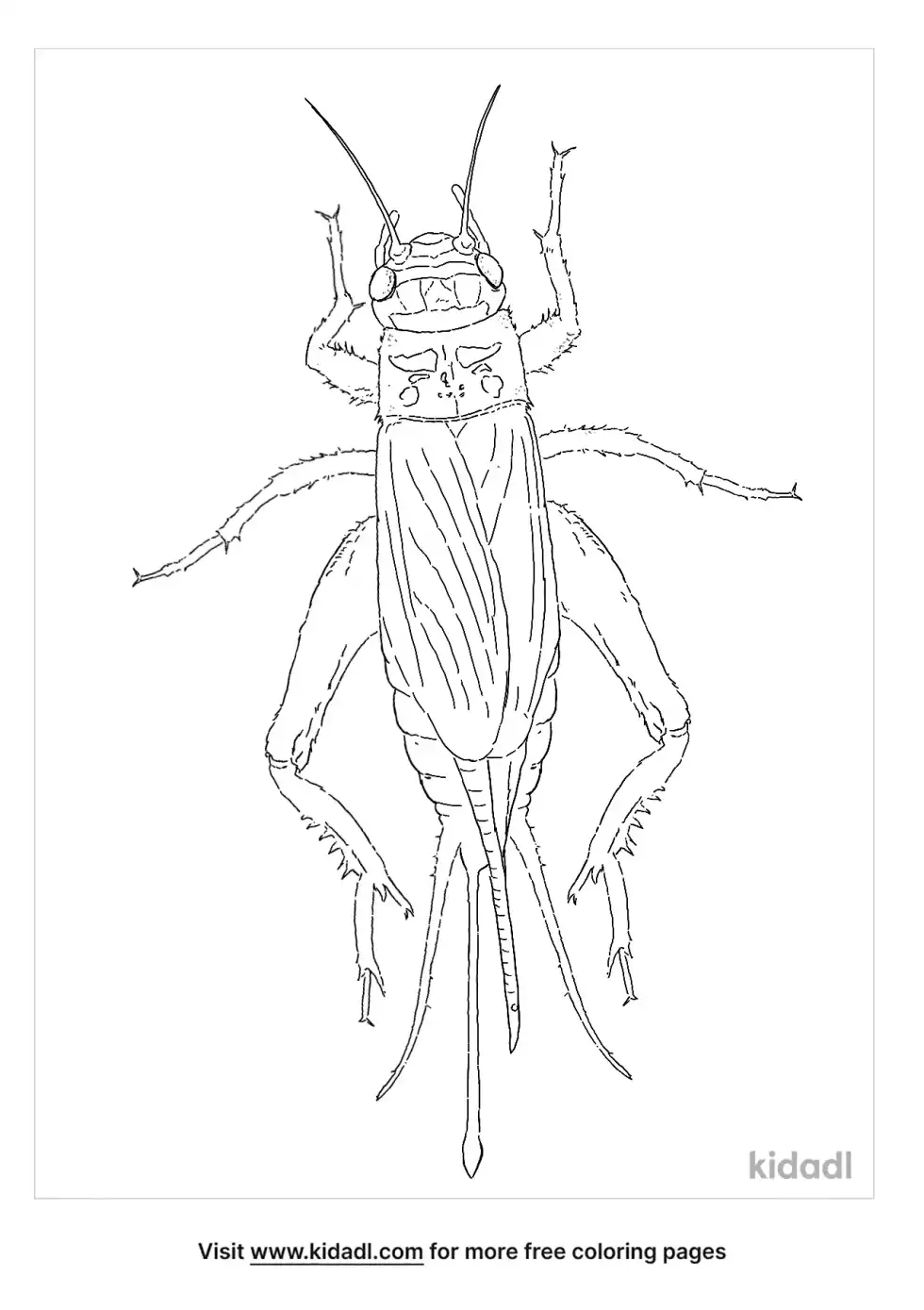 House Cricket Coloring Page