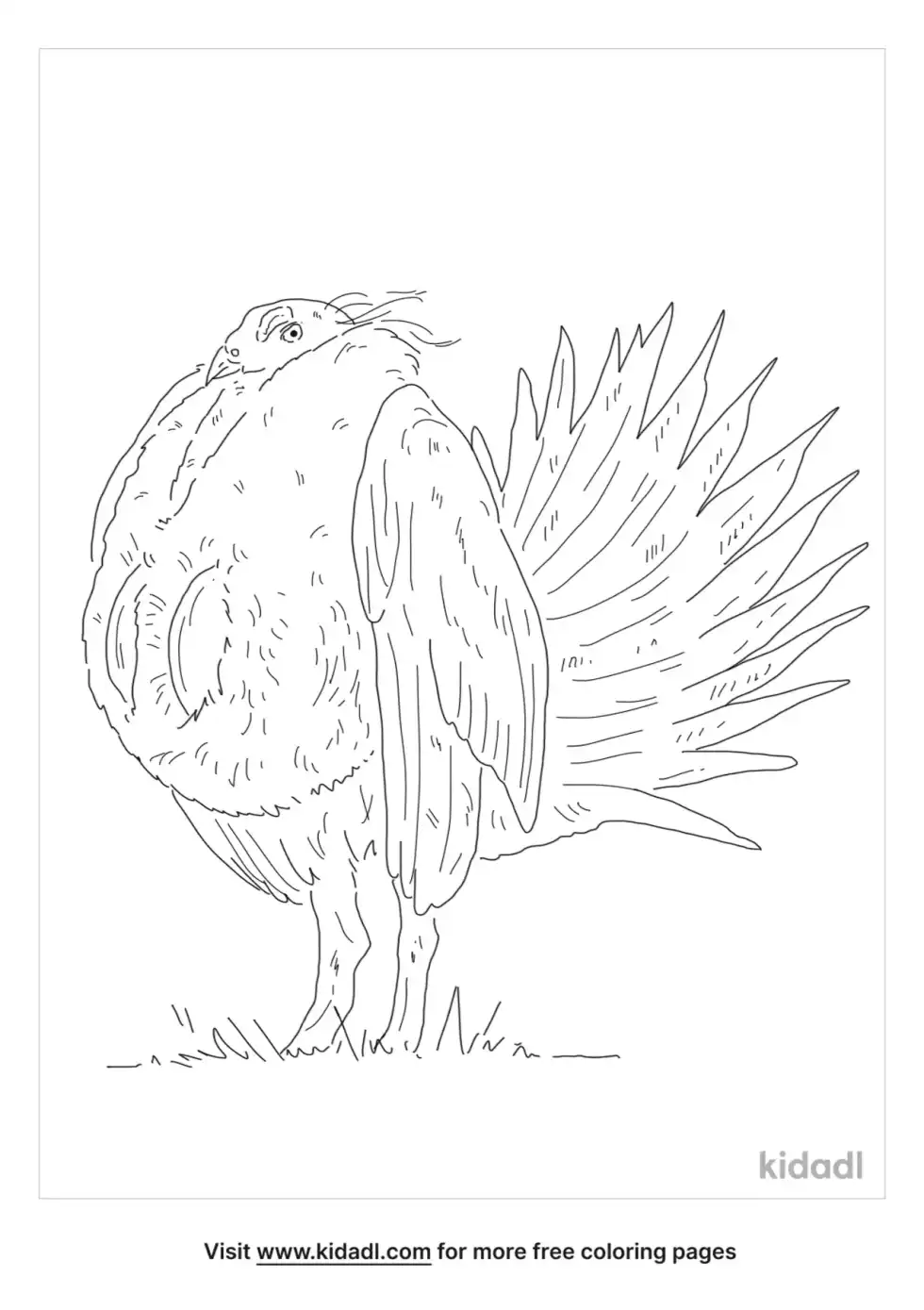 Sage Hen Coloring Page