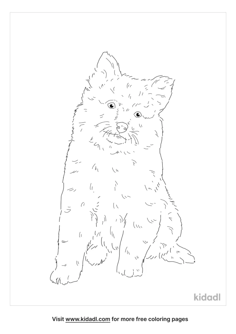 Aussiepom Coloring Page