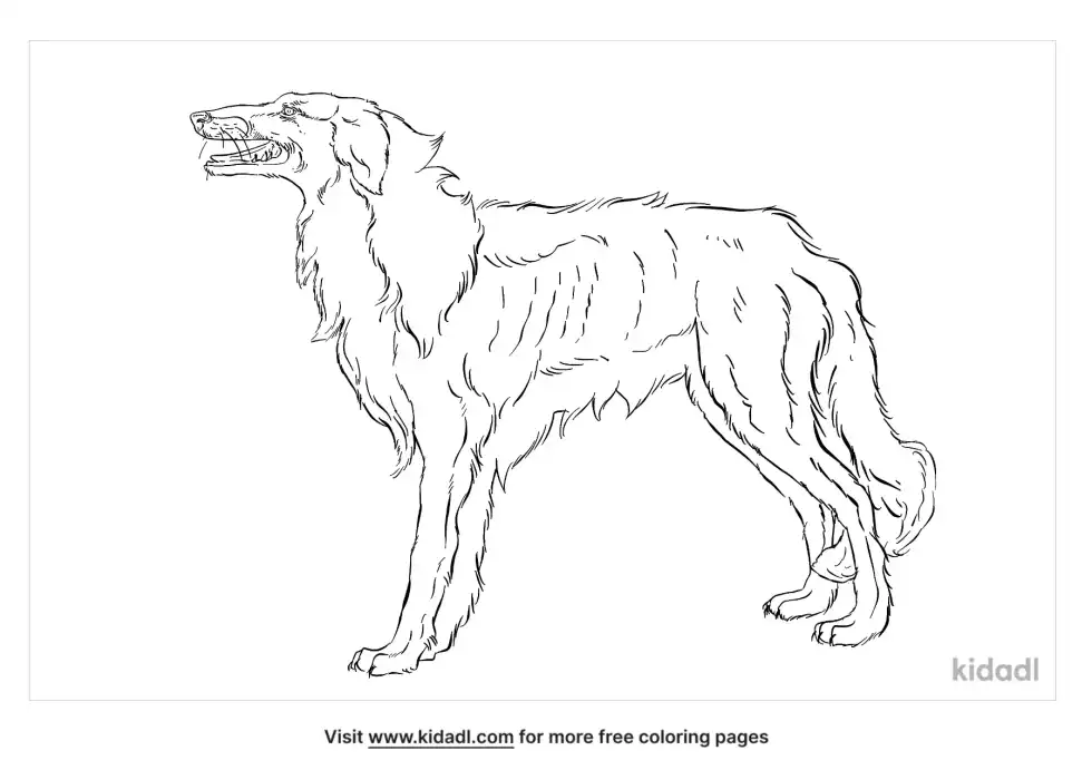 Borzoi Coloring Page