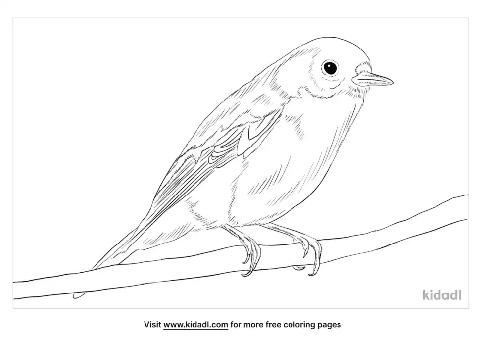 Flame Robin Coloring Page