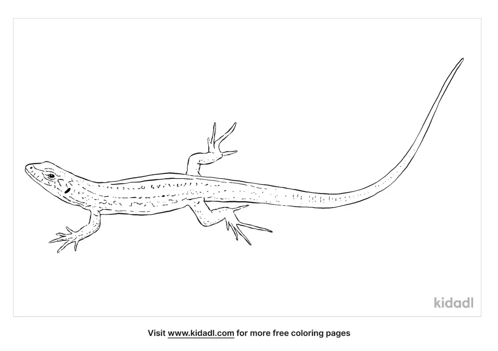 Tazarus Lizard Coloring Page